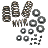 .650" LIFT Sidewinder® HEAVY DUTY VALVE SPRING KIT FOR V117