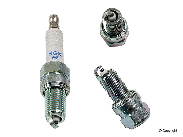 SPARK PLUG NGK ALL BIG DOGS WITH 117ci MOTOR - Click Image to Close